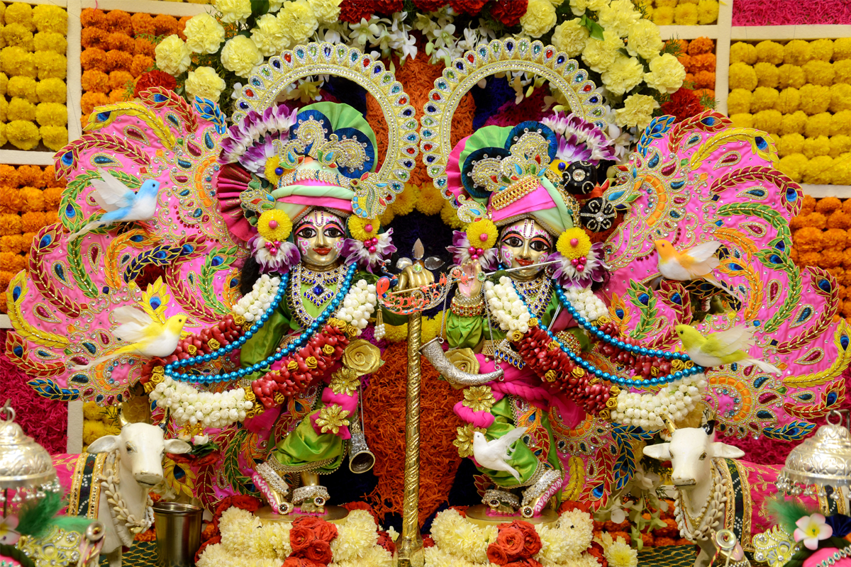 Special Darshan