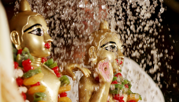 Sri Krishna Janmashtami Sevas